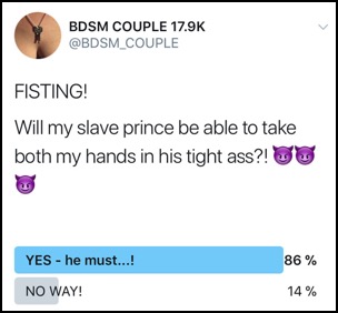 Fisting-Vote